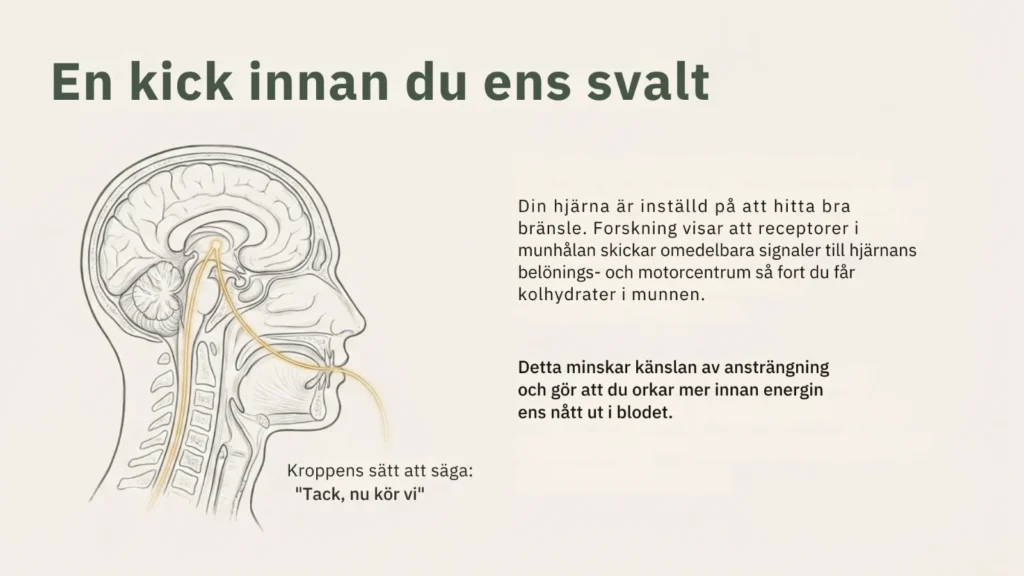 En kick innan du ens svalt