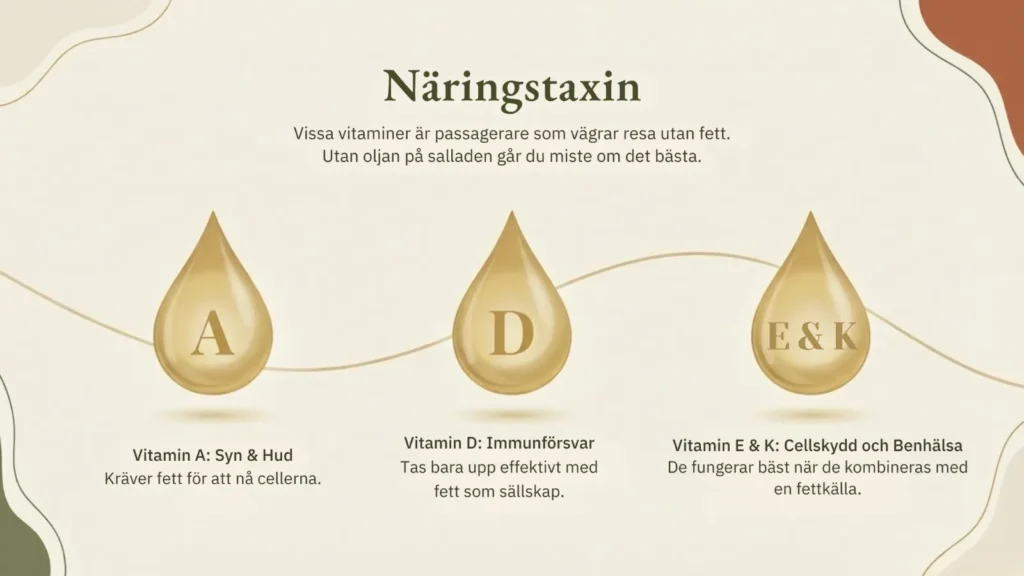 fett blogg karusell 3