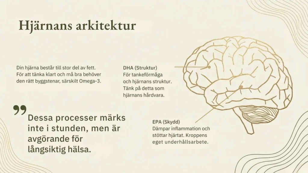fett blogg karusell 4