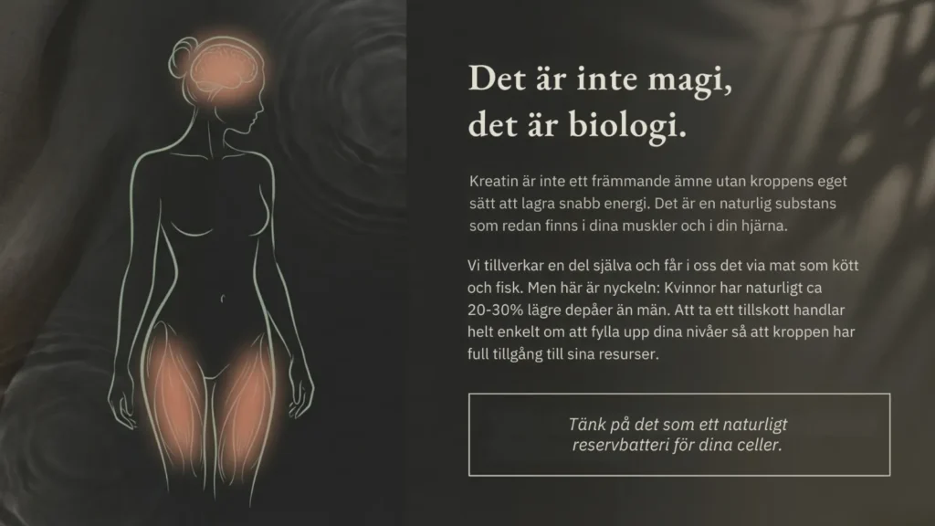 kreatin blogg karusell 2 kreatin blogg karusell 2