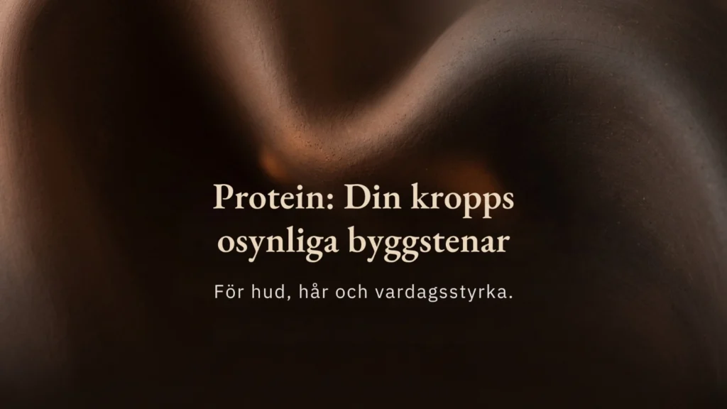protein blogg karusell 1 protein blogg karusell 1